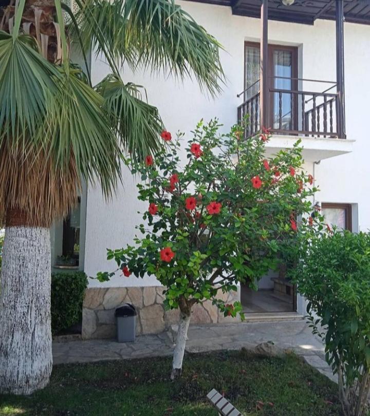 Nehir Dalyan Boutique Otel Ortaca  Esterno foto