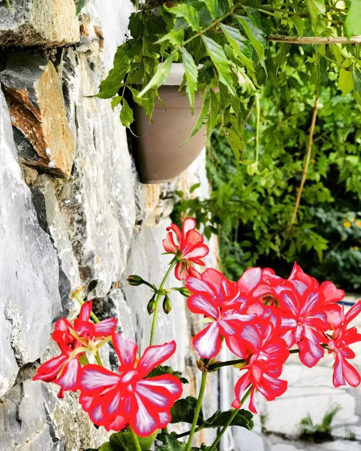Nehir Dalyan Boutique Otel Ortaca  Esterno foto